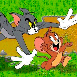 Tom & Jerry Run